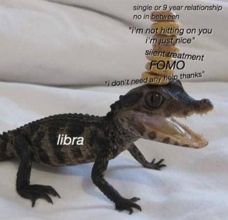 Meilleur Balance Memes