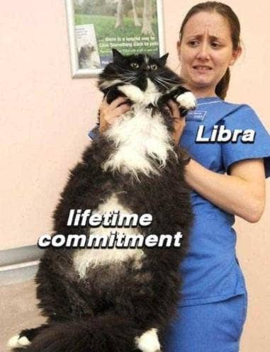 Meilleur Balance Memes