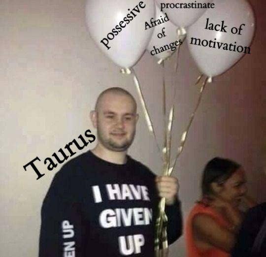 Meilleurs Memes Taureau