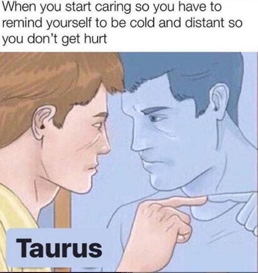 Meilleurs Memes Taureau