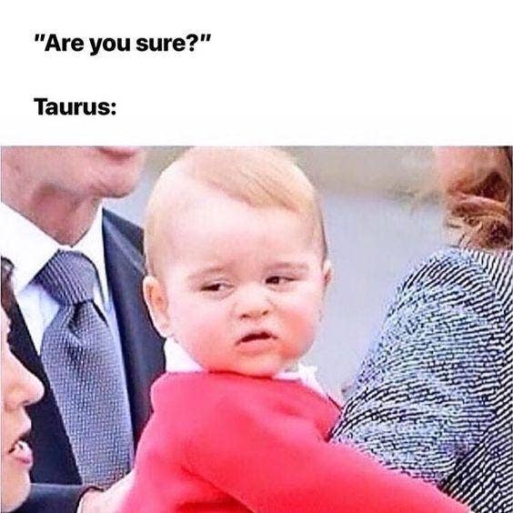 Meilleurs Memes Taureau