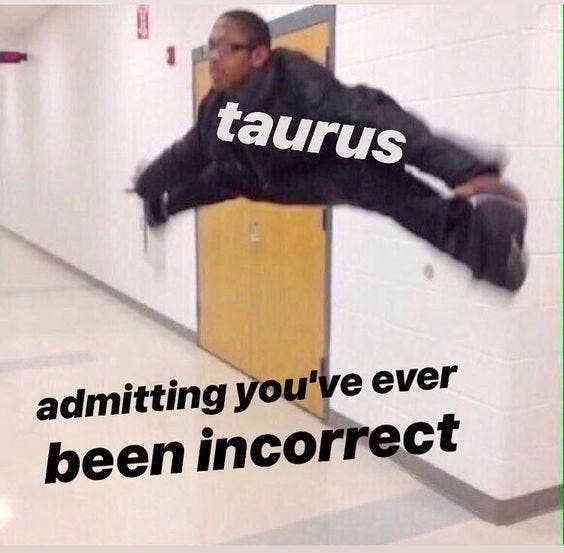 Meilleurs Memes Taureau