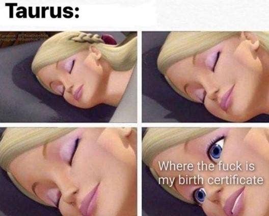 Meilleurs Memes Taureau