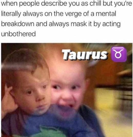 Meilleurs Memes Taureau