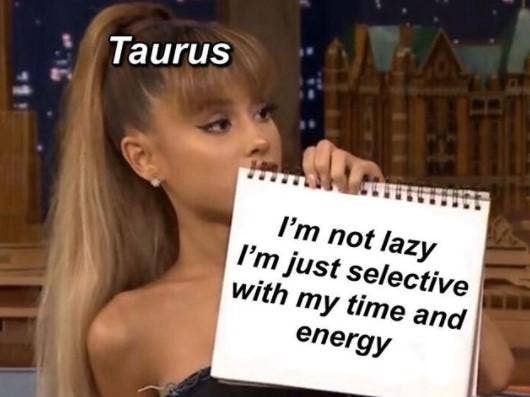 Meilleurs Memes Taureau