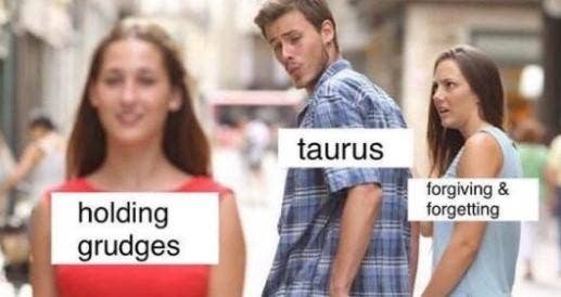 Meilleurs Memes Taureau