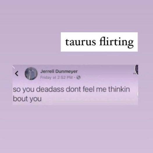 Meilleurs Memes Taureau