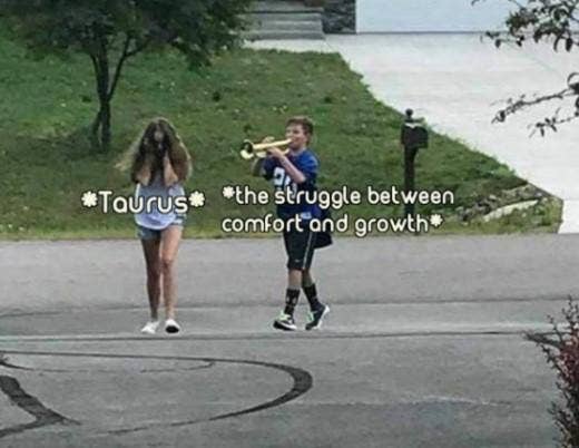 Meilleurs Memes Taureau