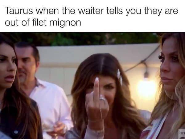 Meilleurs Memes Taureau