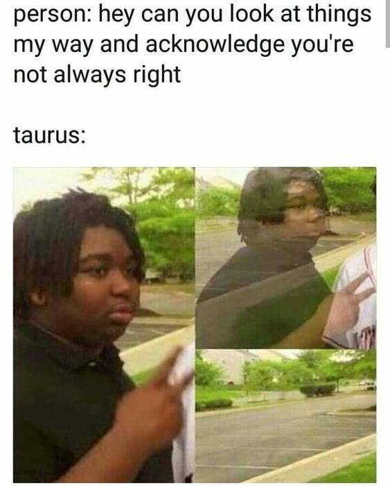 Meilleurs Memes Taureau