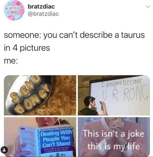 Meilleurs Memes Taureau