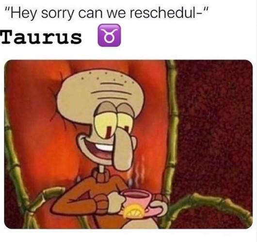 Meilleurs Memes Taureau