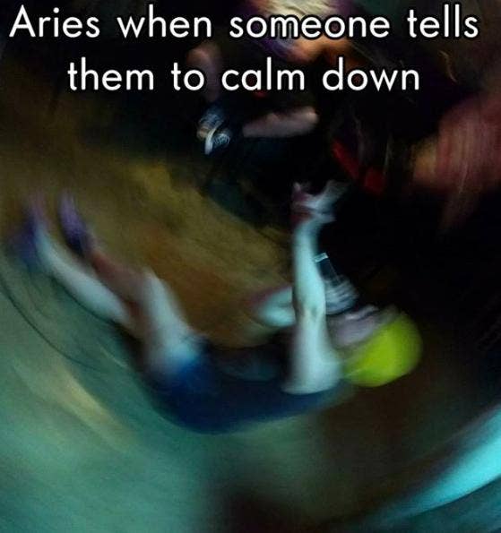 Meilleurs Memes Bélier