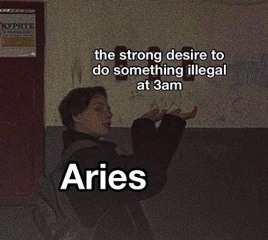 Meilleurs Memes Bélier