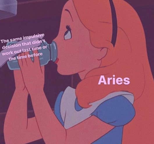 Meilleurs Memes Bélier