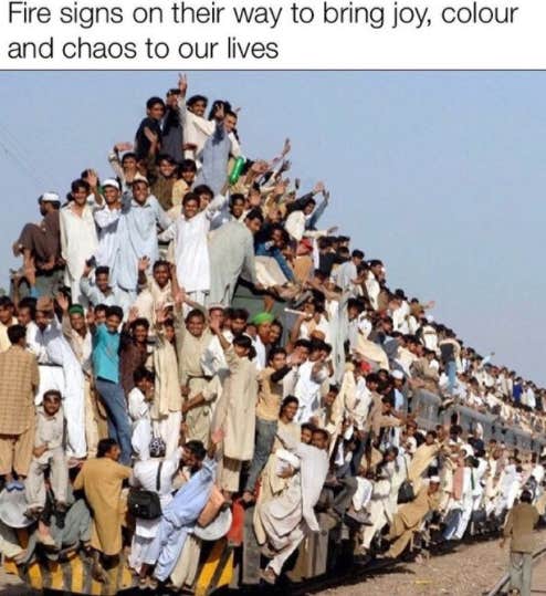 Meilleurs Memes Bélier