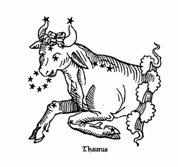 signe du zodiaque passionné du taureau signe du zodiaque passionné du taureau