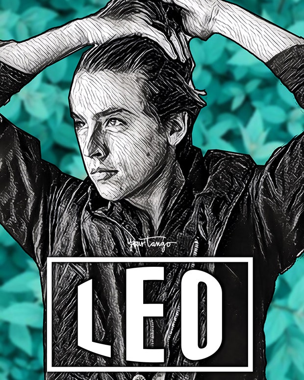 Lion (23 juillet-22 août) Lion (23 juillet-22 août)