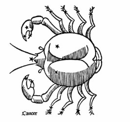 zodiaque hommes zodiaque hommes