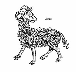 zodiaque  engagement