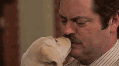 The Freaking ADORABLE Puppy GIF dont votre signe du zodiaque a besoin aujourd'hui