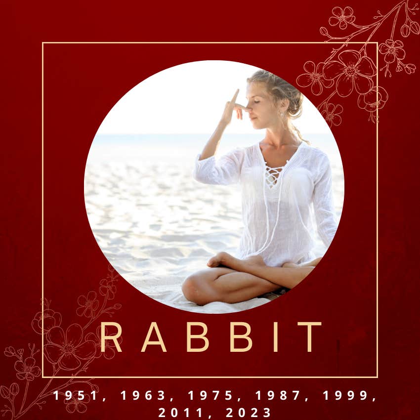 lapin signe du zodiaque chinois horoscope de la semaine du 29 avril au 5 mai 2024