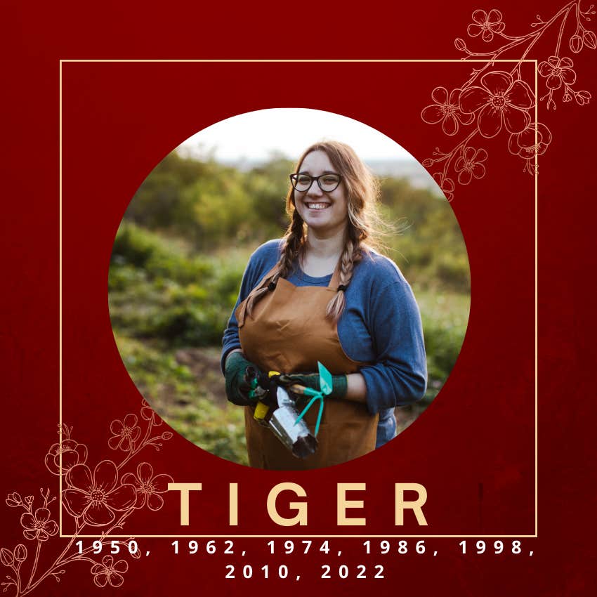 tigre signe du zodiaque chinois horoscope de la semaine du 29 avril au 5 mai 2024