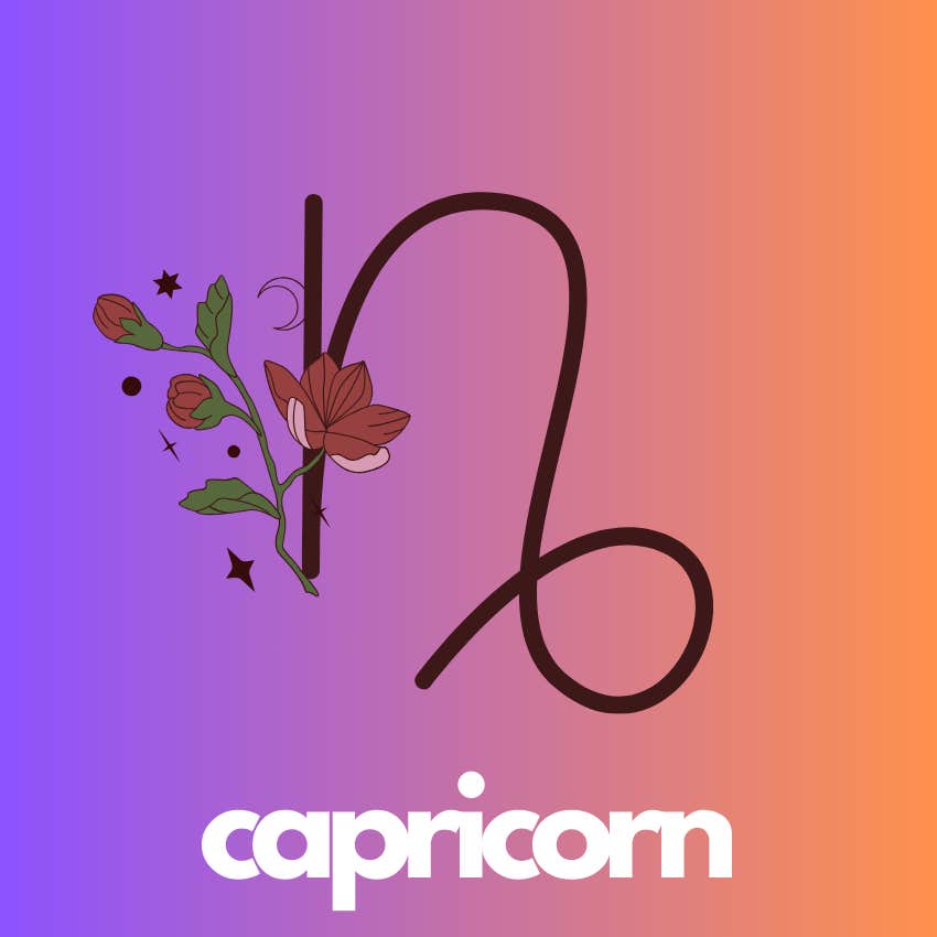 signe du zodiaque capricorne 