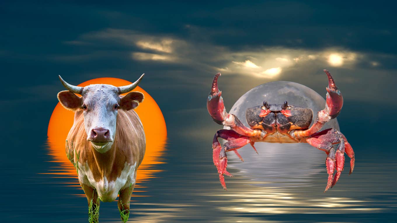 YourTango