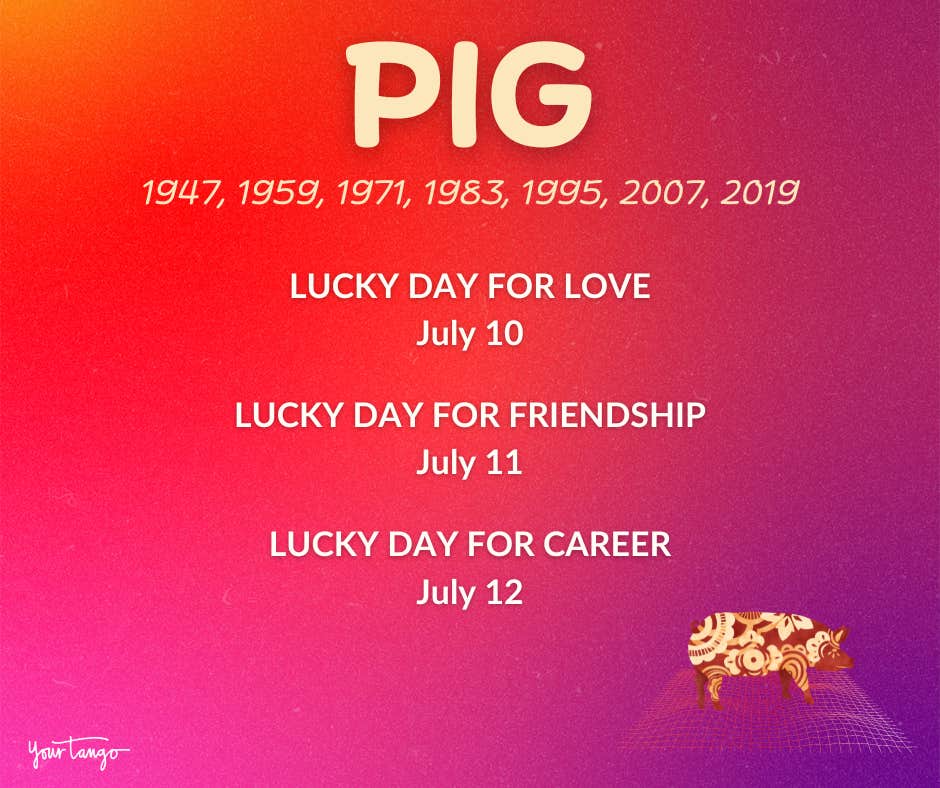 Horoscope chinois du cochon de juillet 2024