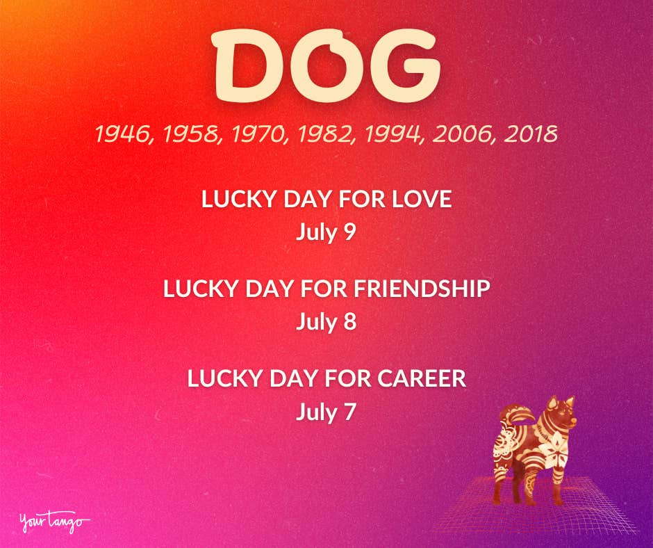 Horoscope chinois du chien juillet 2024