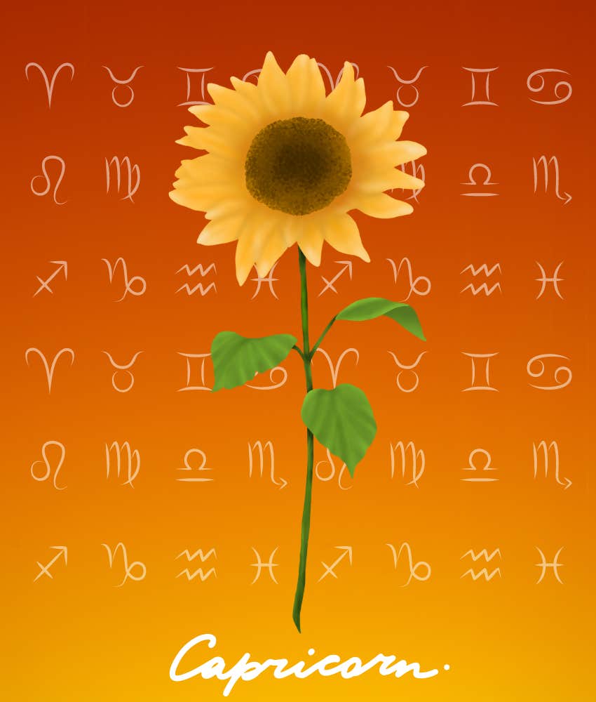 Signes du zodiaque Capricorne avec des horoscopes inspirants le 10 juillet 2024