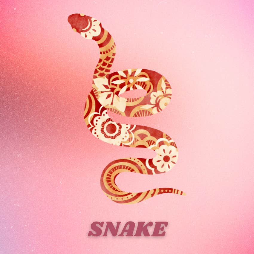 serpent porte-bonheur mensuel du zodiaque chinois août 2024