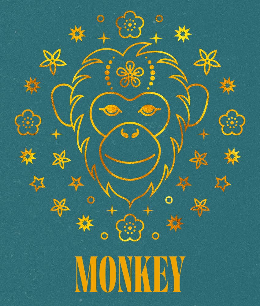 singe signes du zodiaque chinois  horoscope hebdomadaire du 16 au 22 décembre 2024