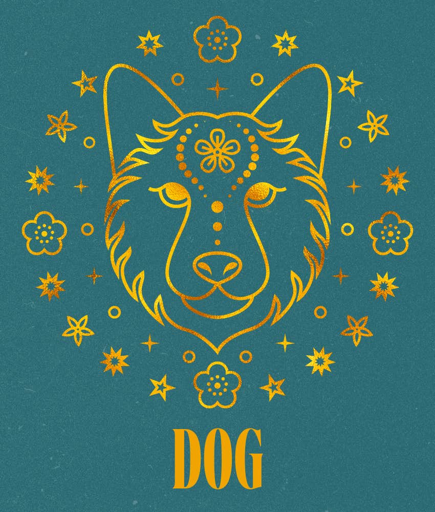 la chance favorise le chien signe du zodiaque chinois 30 décembre - 5 janvier