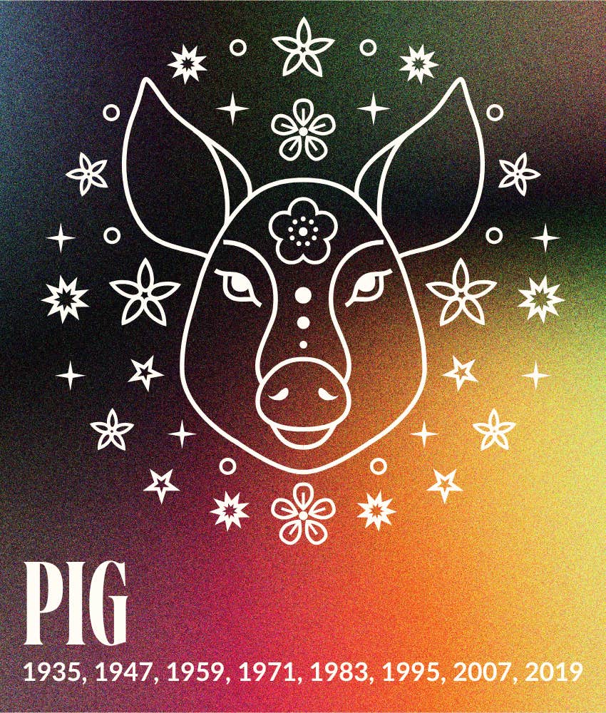 cochon  signe du zodiaque chinois  horoscope mensuel de janvier 2025