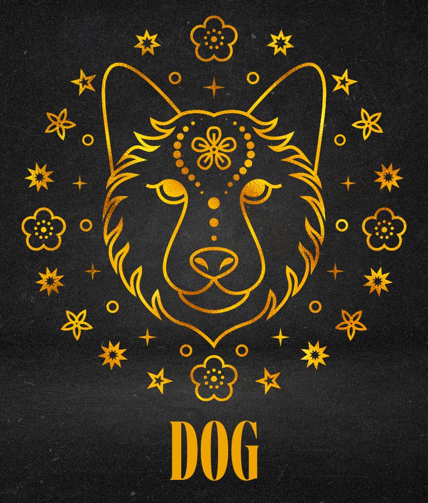 Horoscope hebdomadaire de chien Signe du zodiaque chinois 21 au 27 juillet 2025