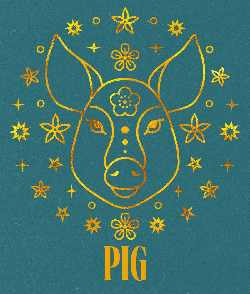 Pig Chinese Zodiac Signs Luck Week 28 juillet - 2 août 2025