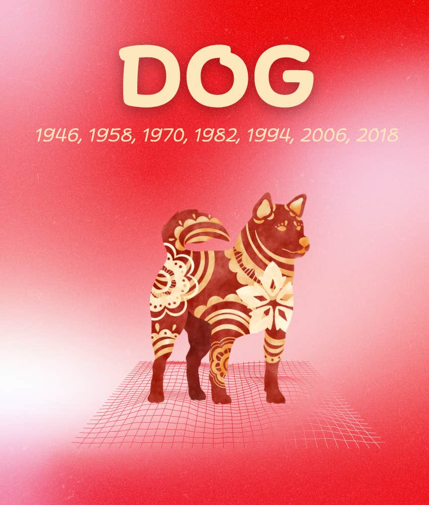 chien chinois du zodiaque signe horoscope hebdomadaire du 4 au 10 août 2025