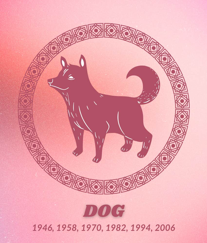 chien chinois zodiaque signe chanceux bonne fortune 2 septembre 2025
