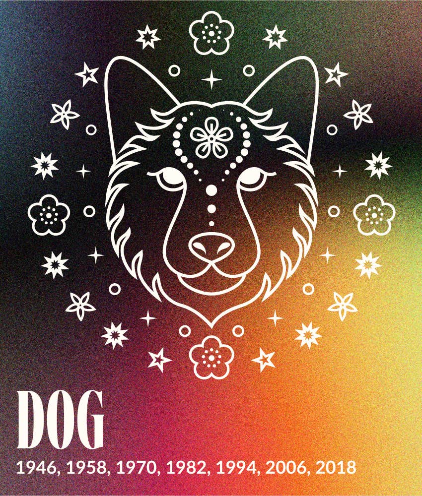 chien signes du zodiaque chinois chance amour 27 octobre - 2 novembre 2025
