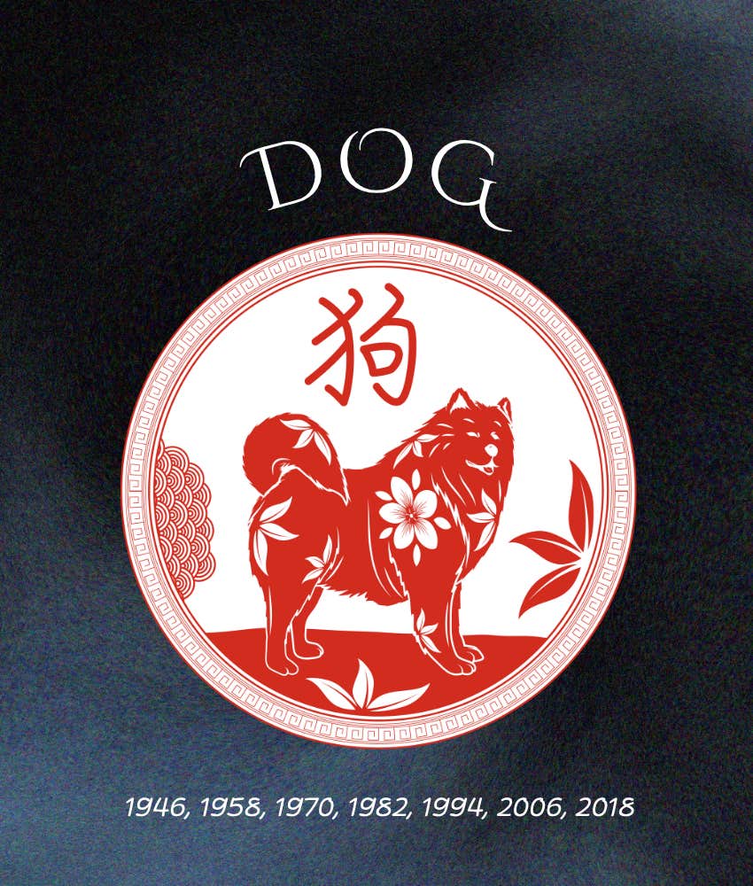 chien horoscopes chinois hebdomadaires signes du zodiaque 24 - 30 novembre 2025