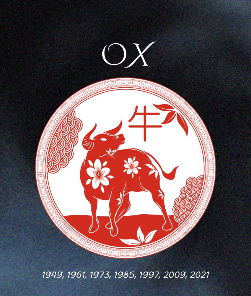 bœuf décembre 2025 horoscopes chinois signe animal