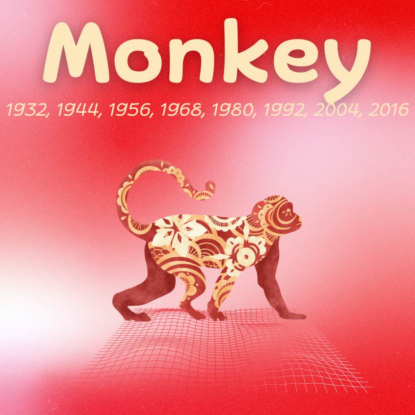 singe signes du zodiaque chinois chance bonne fortune 27 novembre 2025