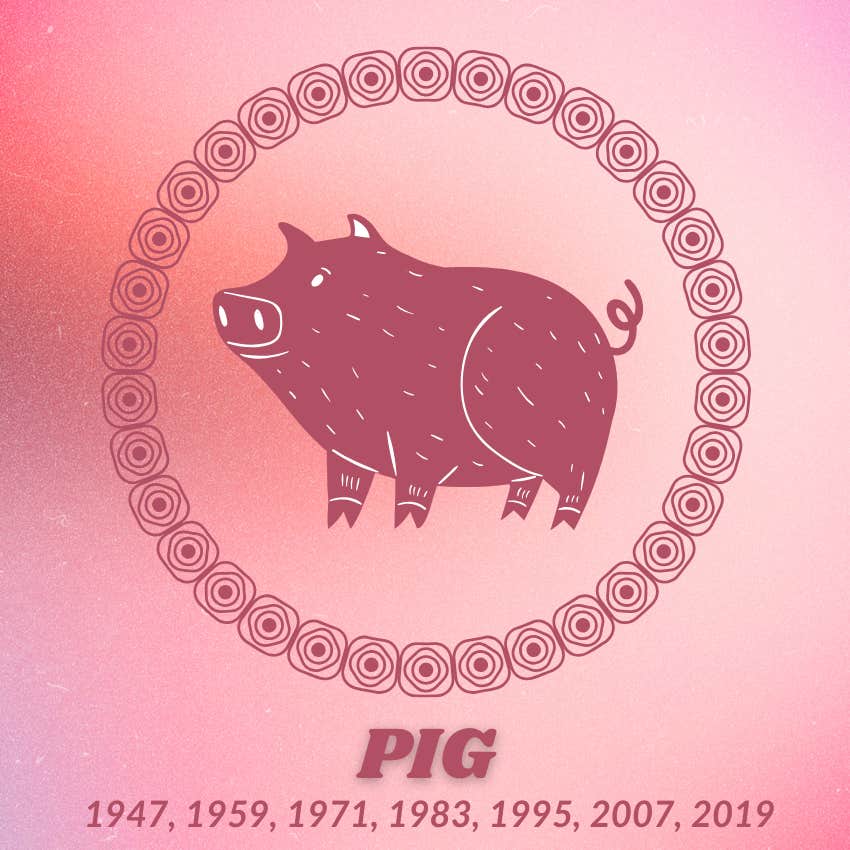 cochon signes du zodiaque chinois chance amour 28 novembre 2025