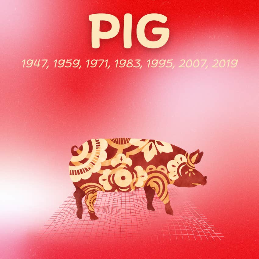 cochon signes du zodiaque chinois chance abondance 29 novembre 2025