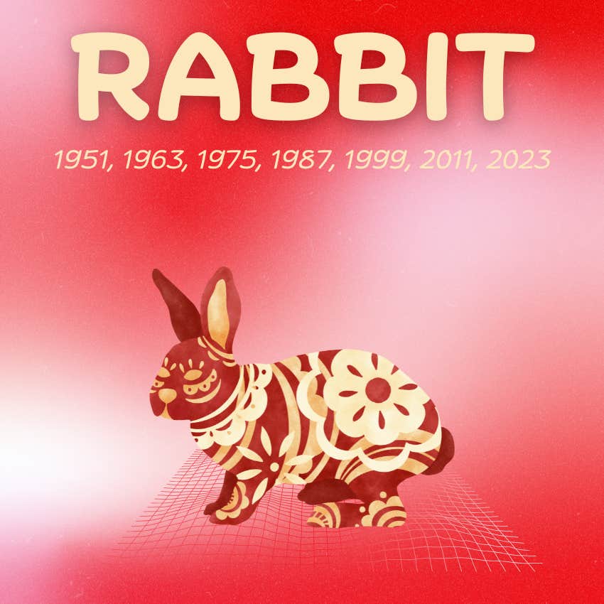 lapin signes du zodiaque chinois chance abondance 29 novembre 2025