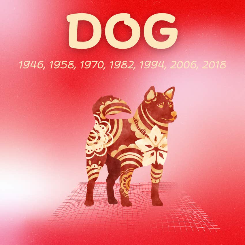 chien signes du zodiaque chinois chance abondance 29 novembre 2025