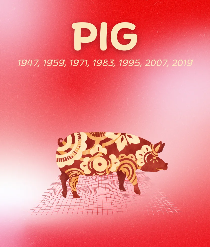 cochon  signes du zodiaque chinois  les difficultés se terminent le 9 août 2026