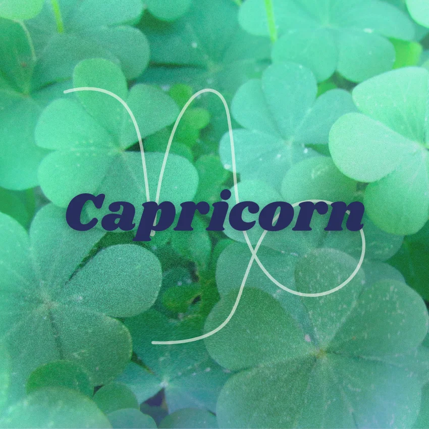 signes du zodiaque capricorne bonne chance semaine du 17 au 23 août 2026